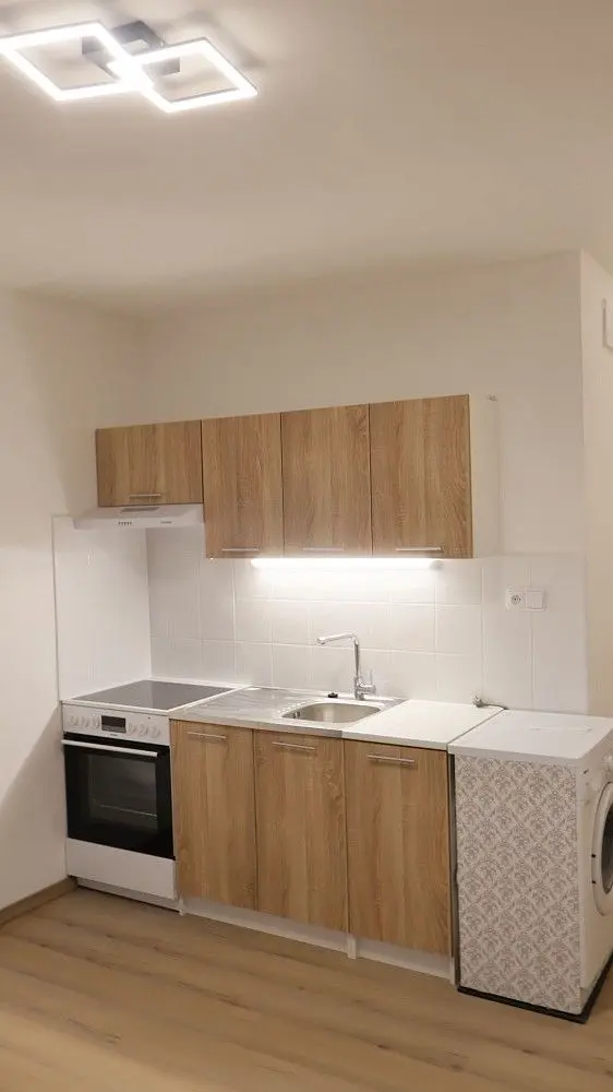Pronájem bytu 1+kk 21 m², Čapkova · Dolní Chodov · Chodov