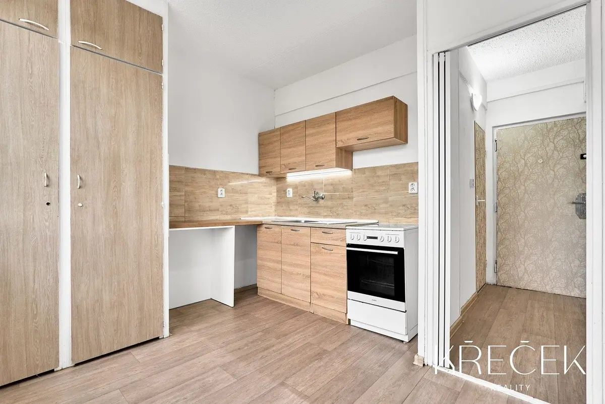 Pronájem bytu 1+1 33 m², Zahraničního odboje · Řípov · Třebíč