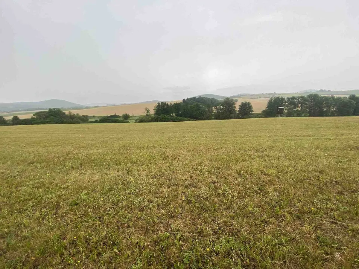 Prodej pozemku 22978 m², Bojanovice pod Rabím · Rabí