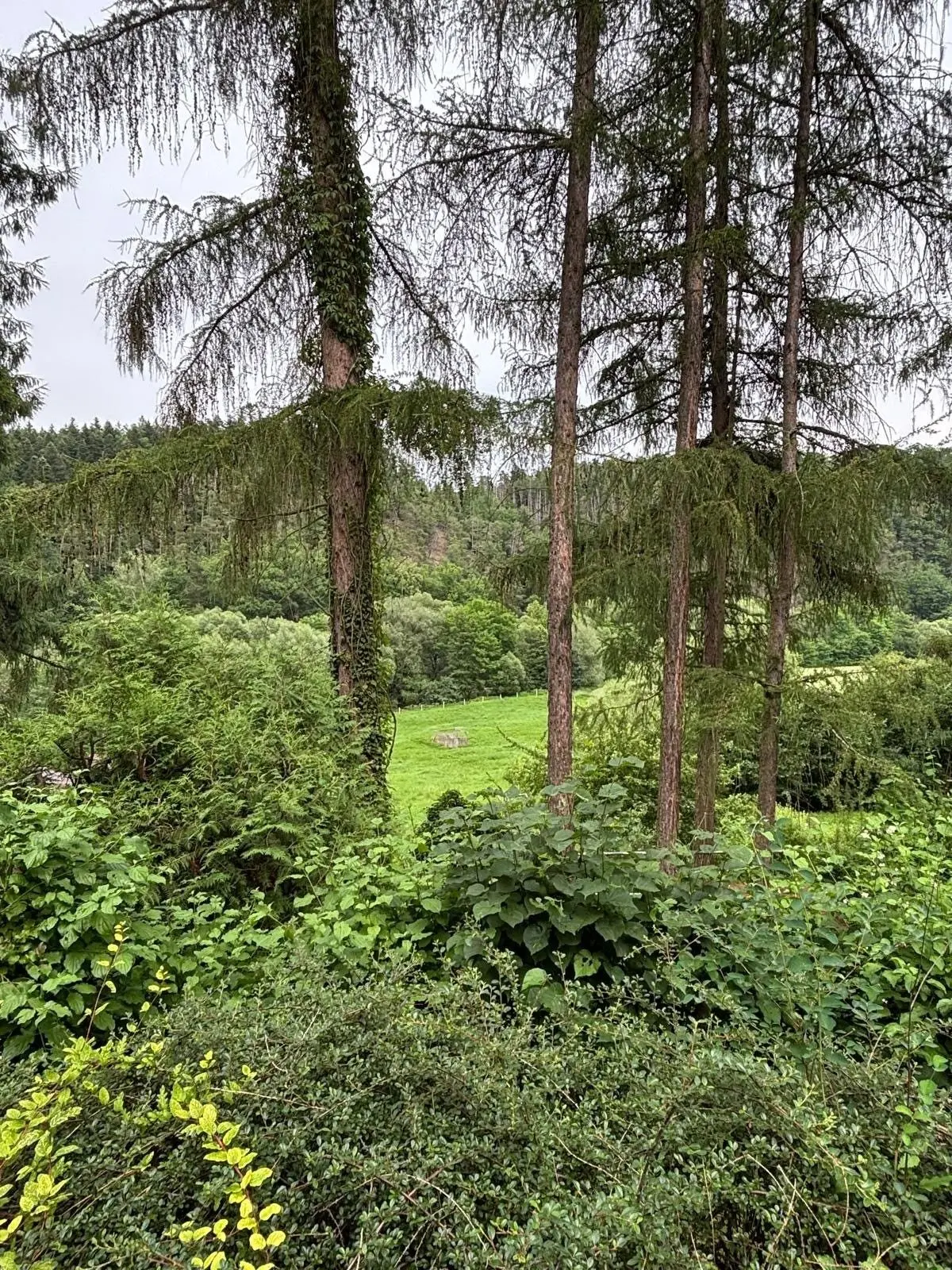 Prodej nemovitosti 75 m², Doudleby