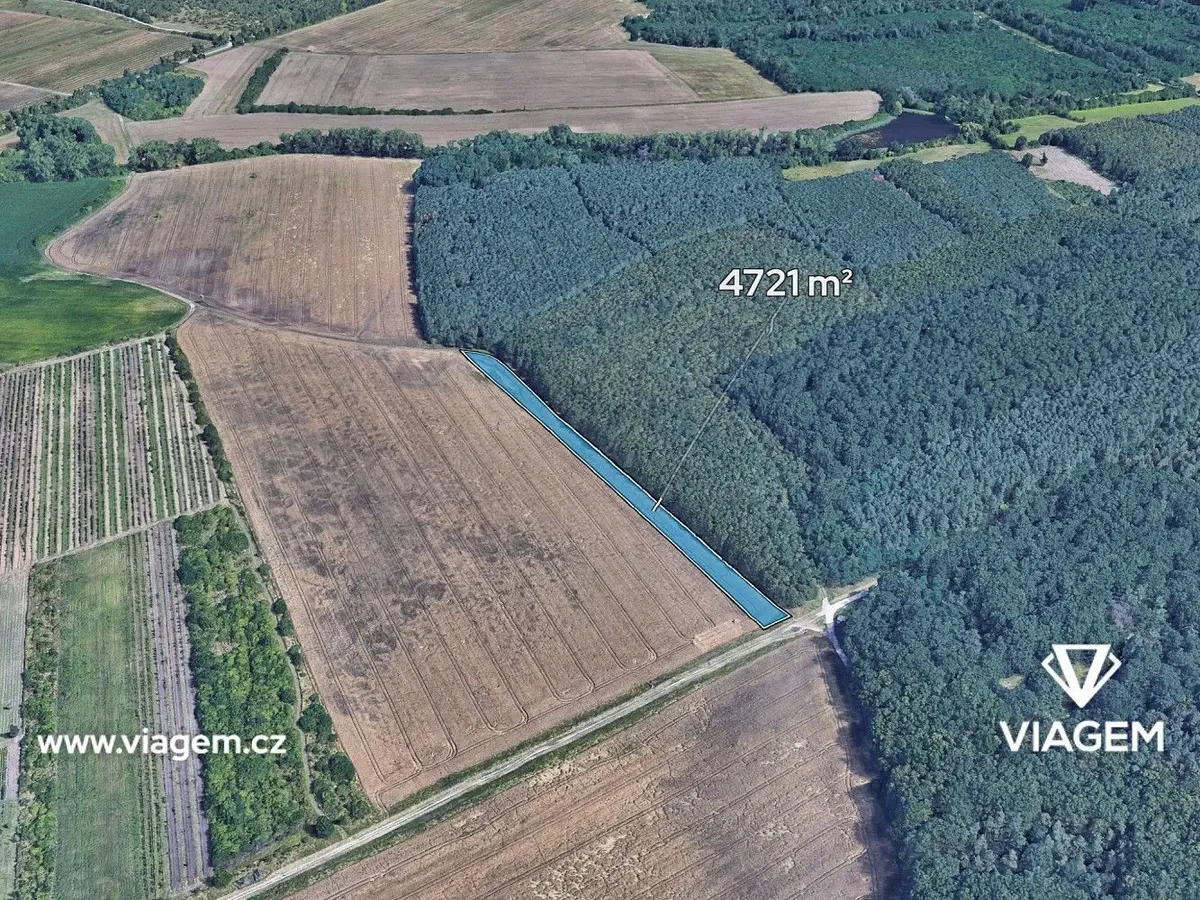 Prodej pozemku 354 m², Valtice