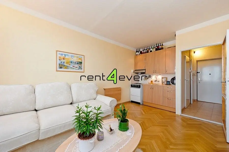 Pronájem bytu 1+kk 23 m², Masarykova · Město Brno · Brno