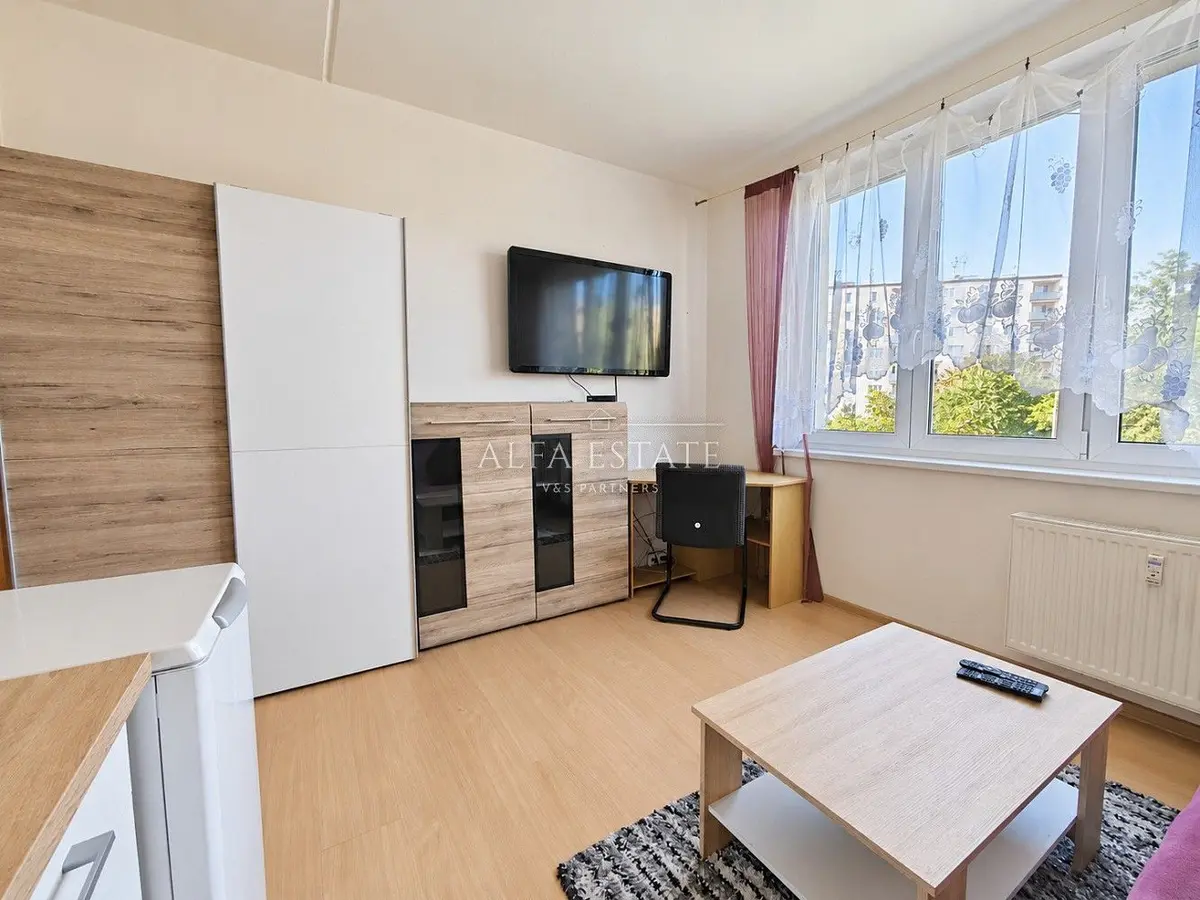 Pronájem bytu 1+kk 18 m², Fibichova · Stará Role · Karlovy Vary