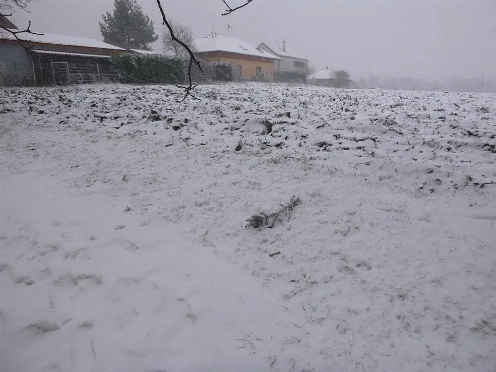 Prodej pozemku 1638 m², Škvorec