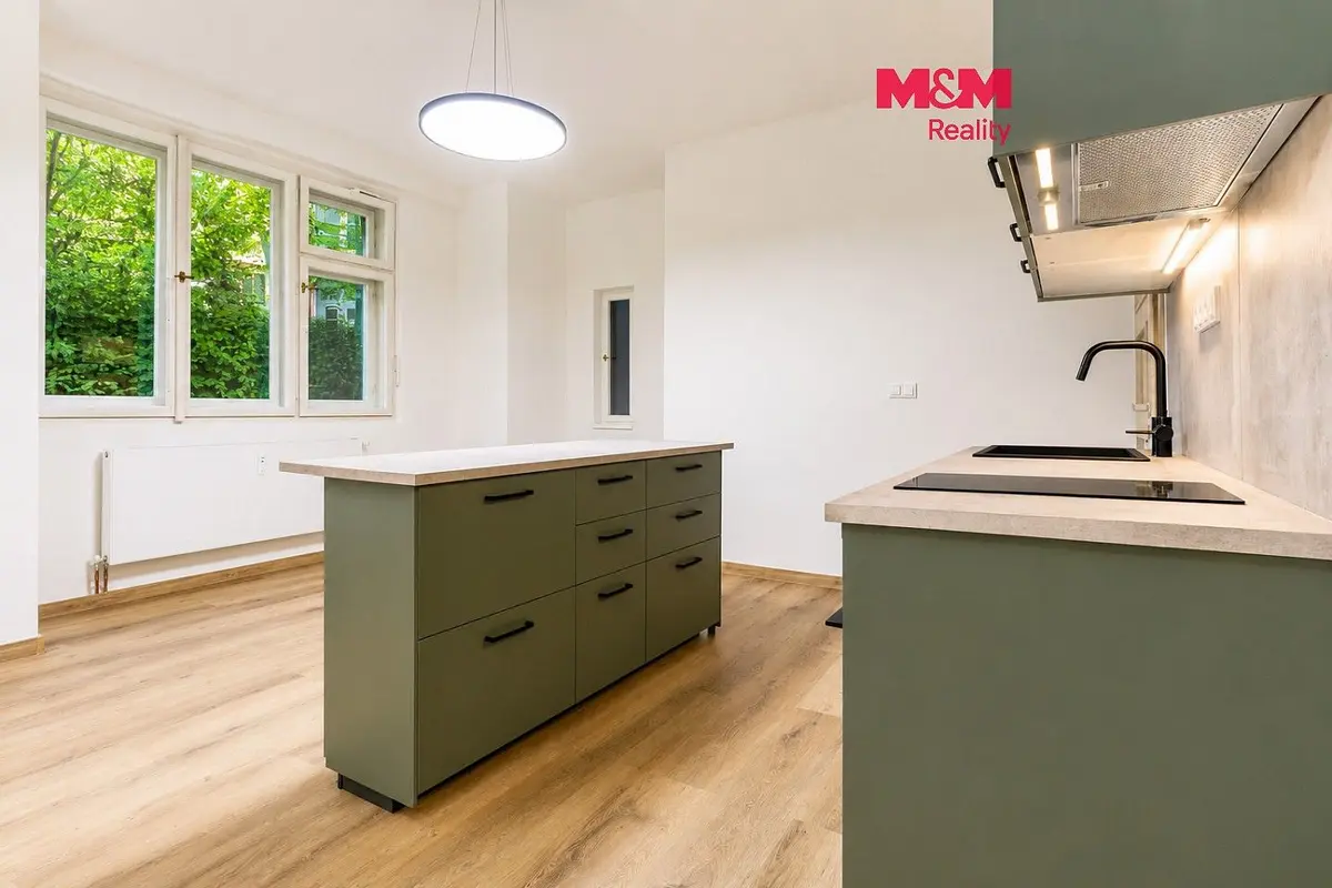 Prodej bytu 1+kk 46 m², Dlouhá · Staré Město