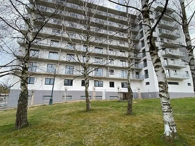 Pronájem bytu 1+kk 46 m², Jihlava