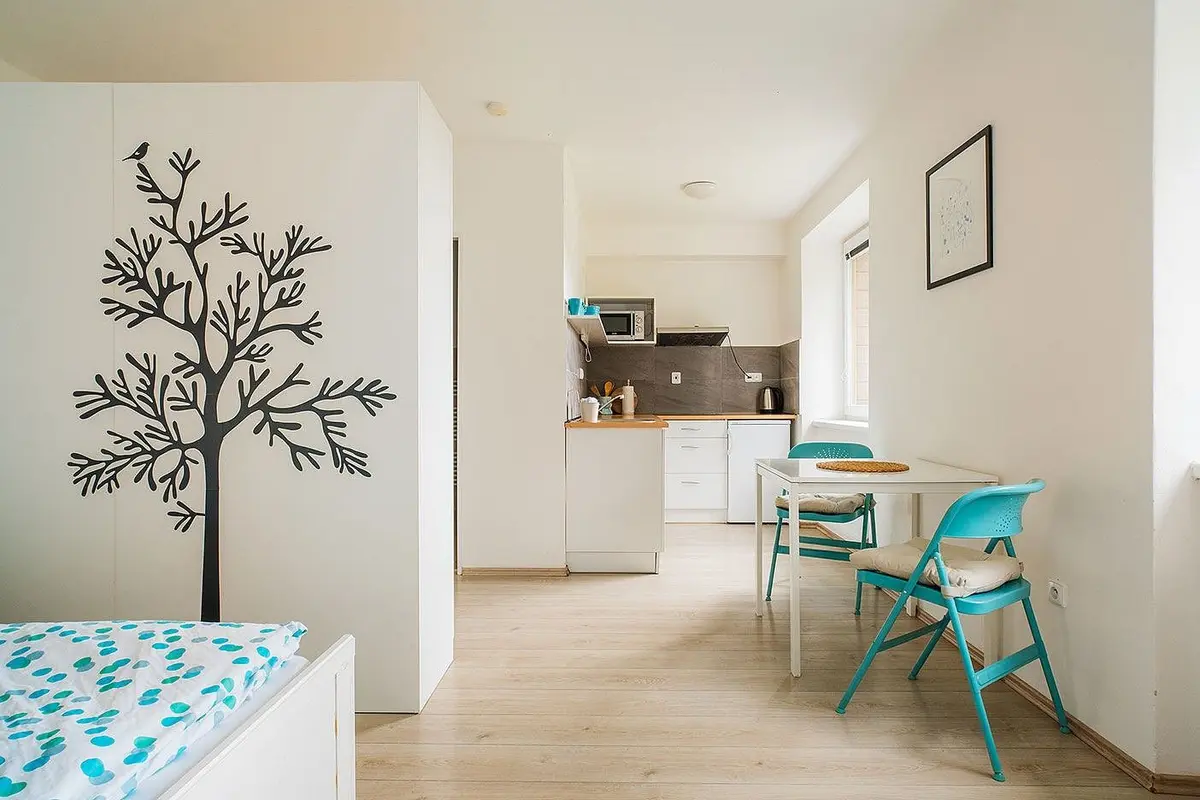 Prodej bytu 1+kk 30 m², Stříbrnice · Staré Město