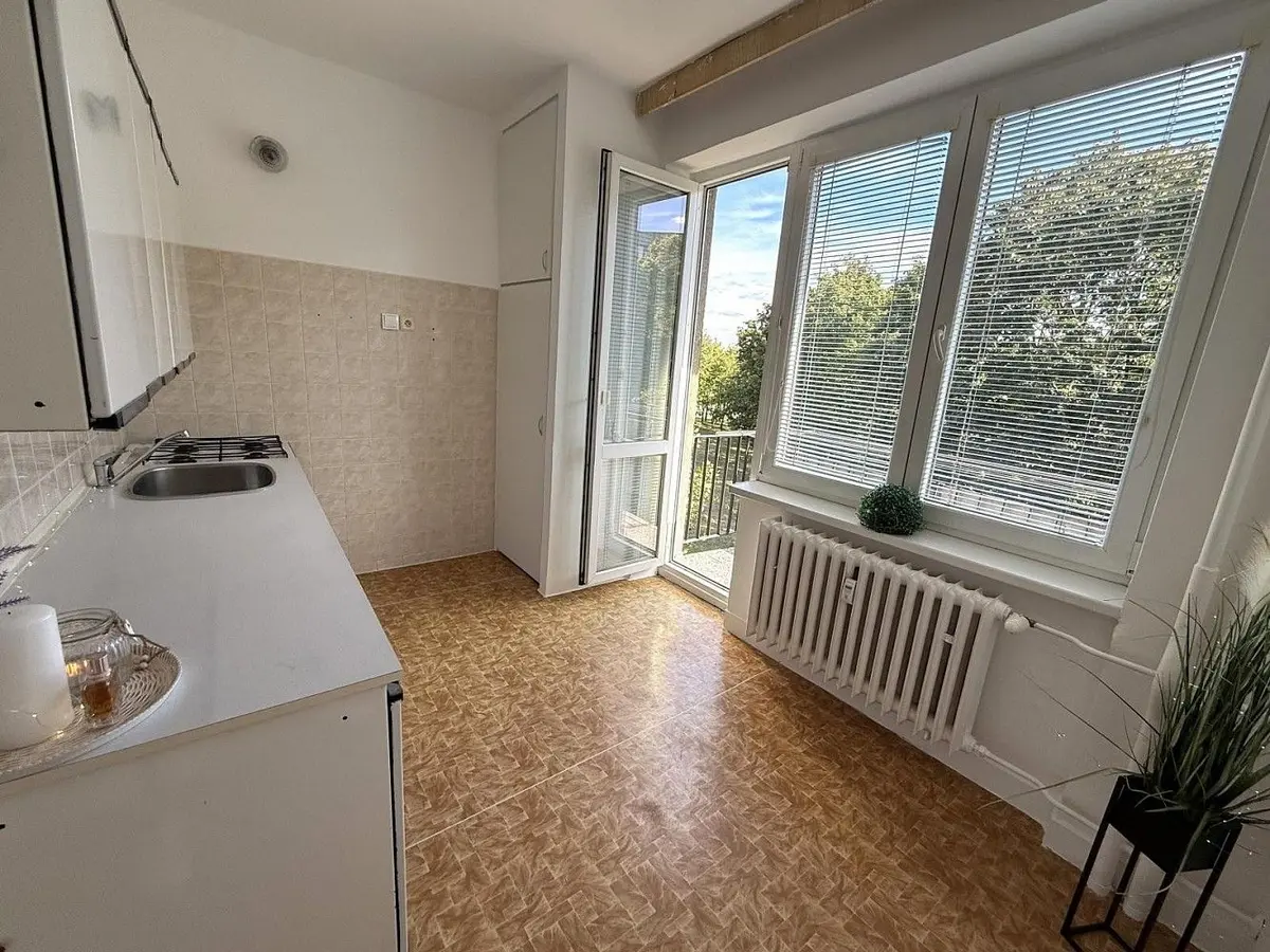 Prodej bytu 1+1 38 m², Nejedlého · Lesná · Brno