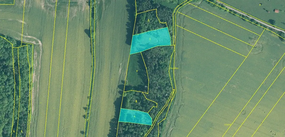 Prodej pozemku 5674 m², Skály u Protivína · Skály