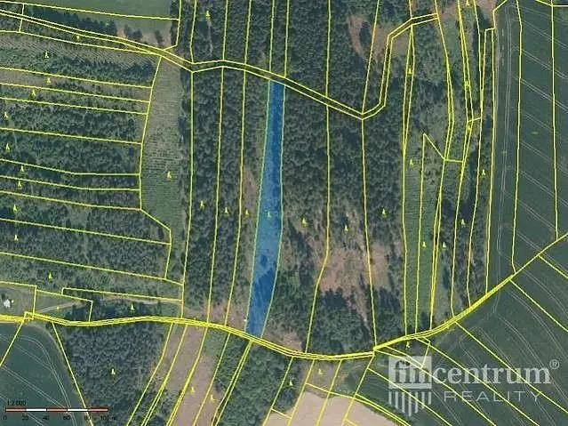 Prodej pozemku 28936 m², Radkov u Telče · Radkov