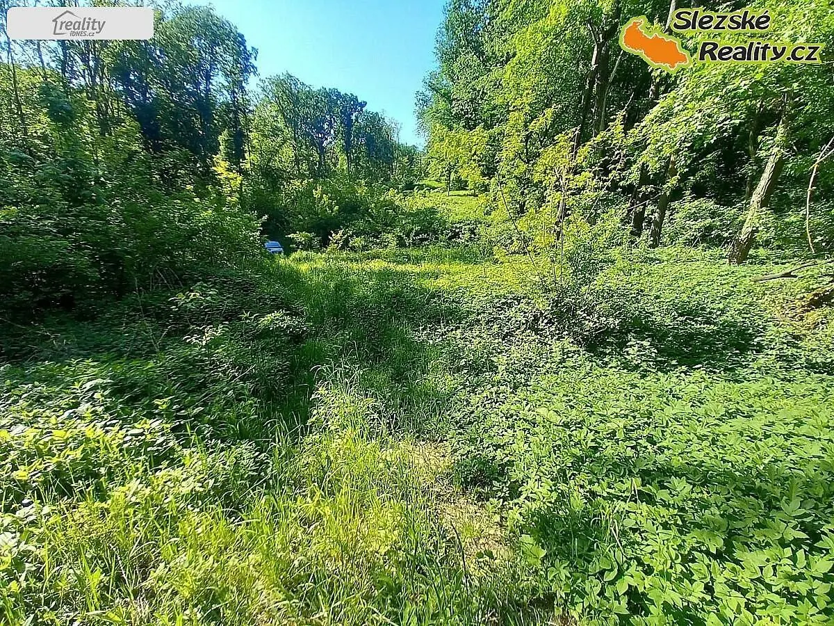 Prodej pozemku 6415 m², Diváky
