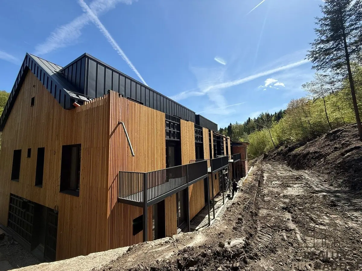 Prodej komerčního prostoru 38 m², Javorník nad Veličkou · Javorník