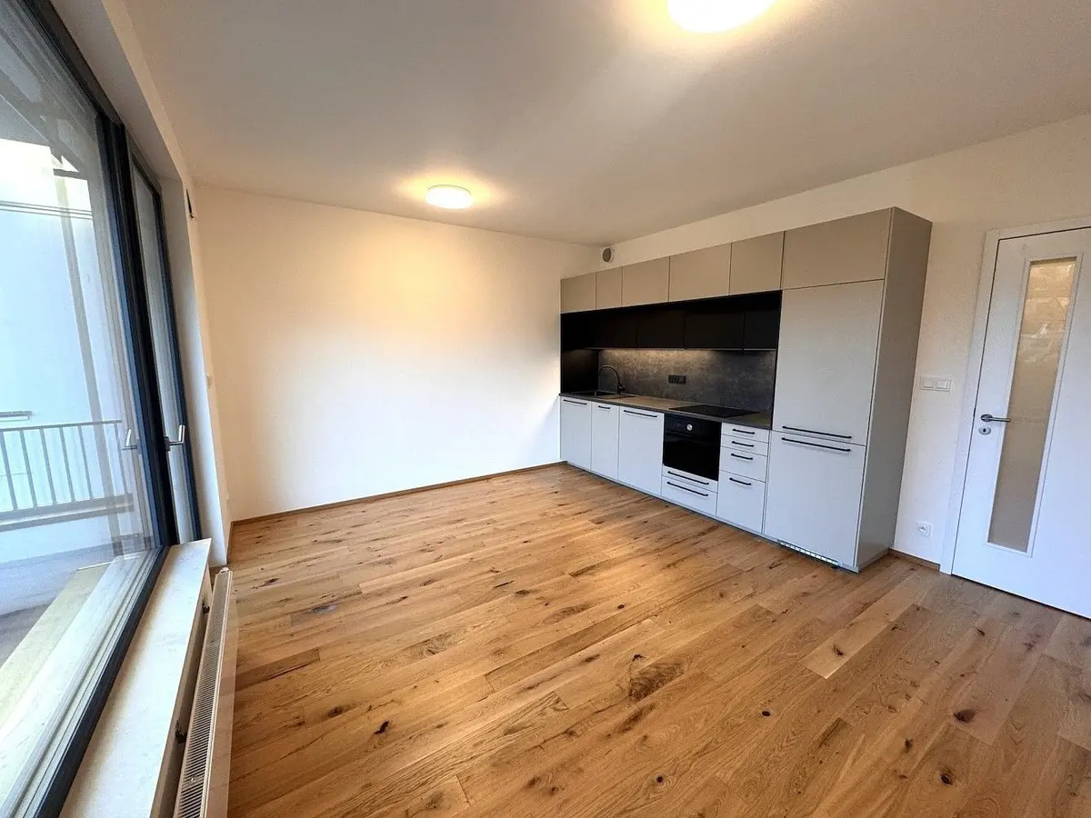 Pronájem bytu 2+kk 41 m², Závišova · Nusle