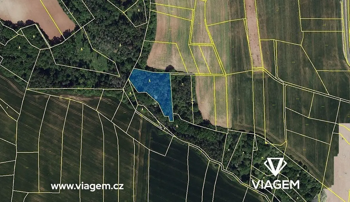 Prodej pozemku 2404 m², Pozdeň