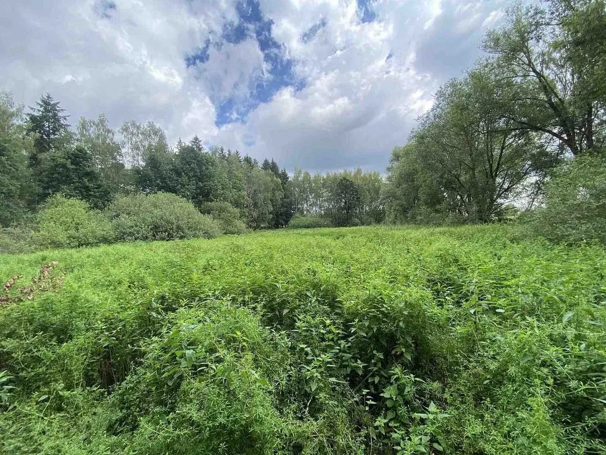 Prodej pozemku 6751 m², Štiptoň · Nové Hrady