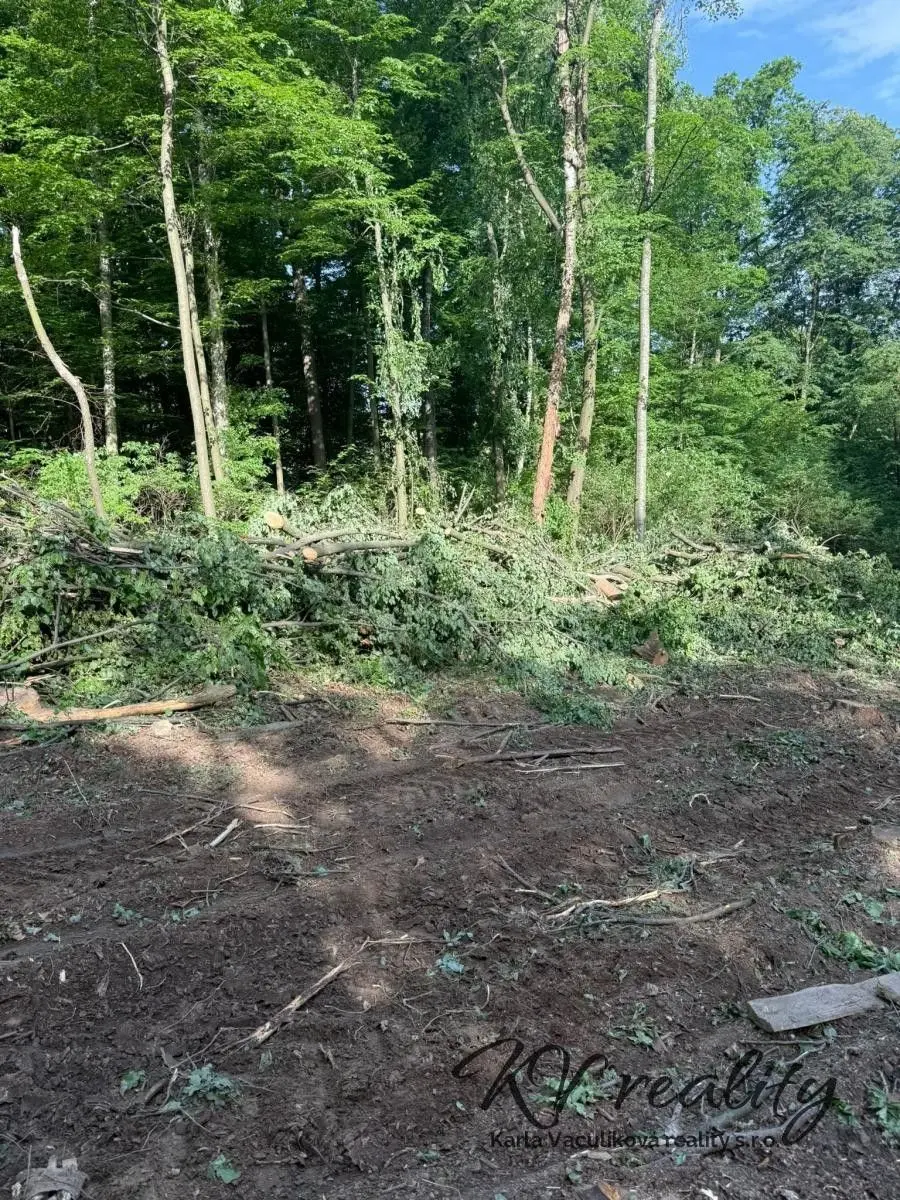 Prodej pozemku 7989 m², Komárovice · Kelč