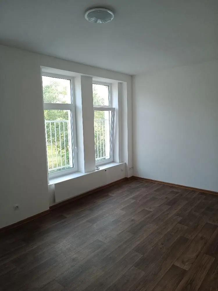 Pronájem bytu 1+kk 30 m², Prostřední · Předlice · Ústí nad Labem