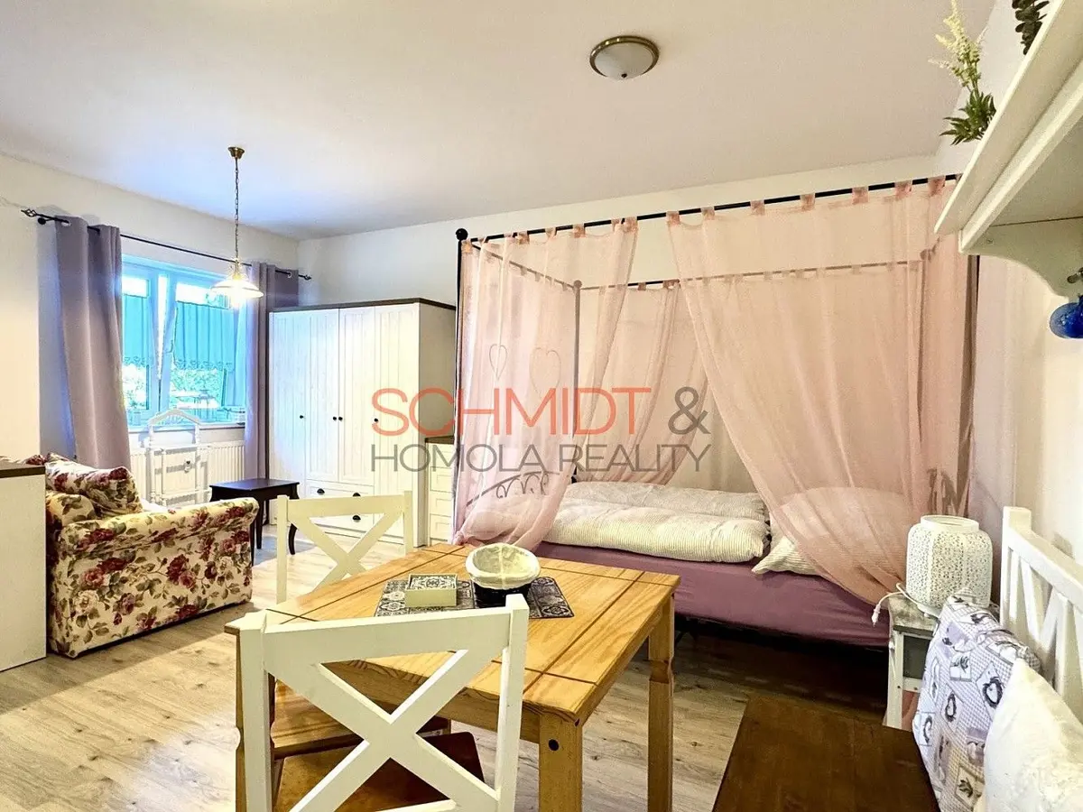Pronájem bytu 1+kk 42 m², Staré Brno · Brno