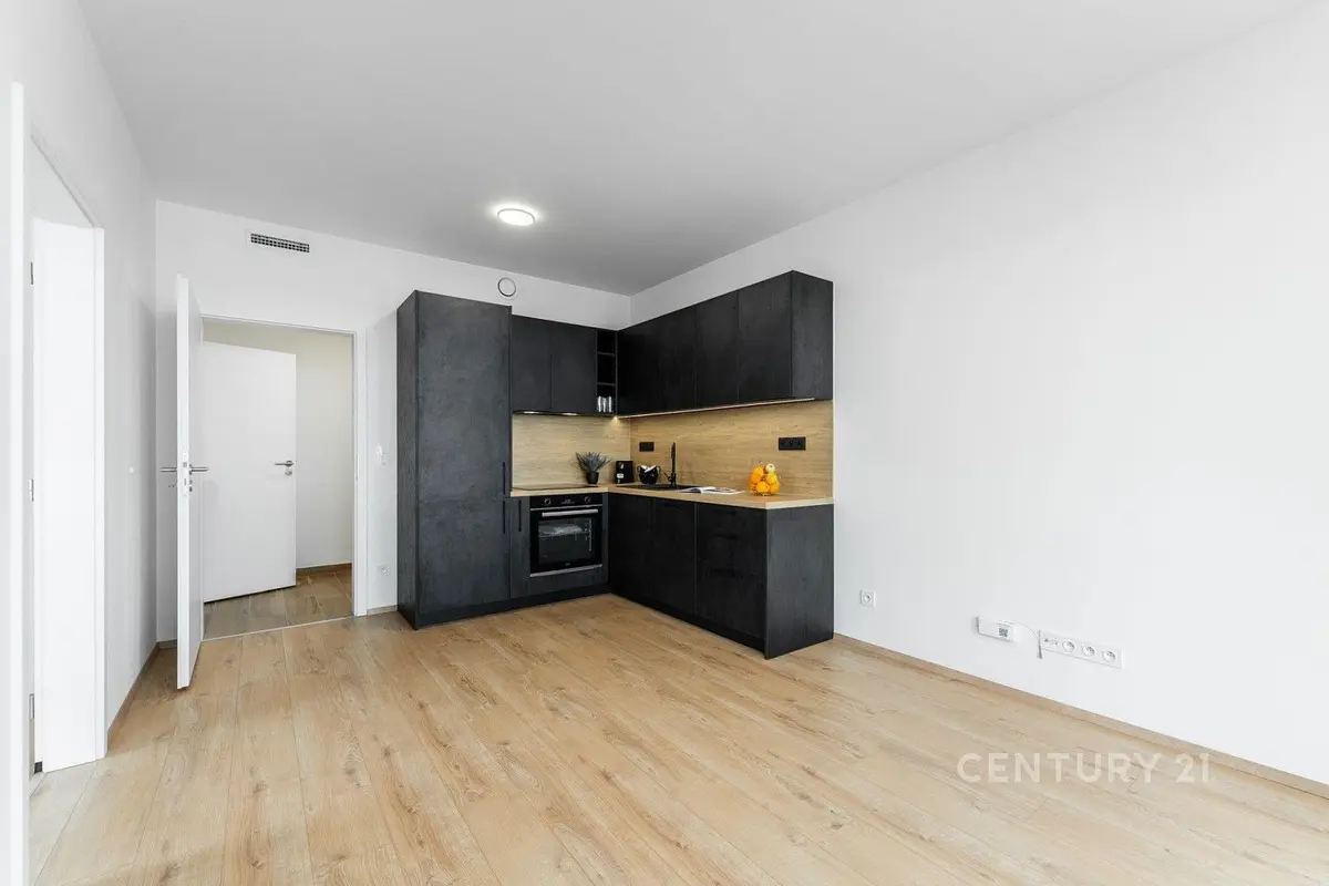 Pronájem bytu 2+kk 46 m², Veselá · Město Brno · Brno