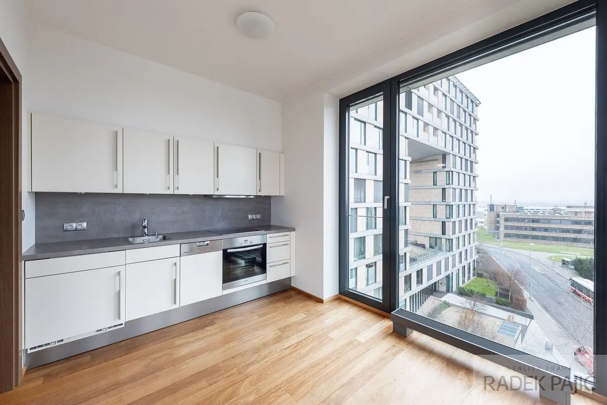 Pronájem bytu 1+kk 49 m², Nusle